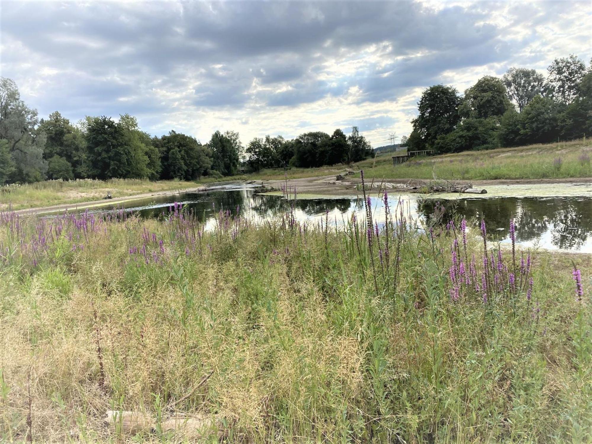 An Der Brigach Donaueschingen