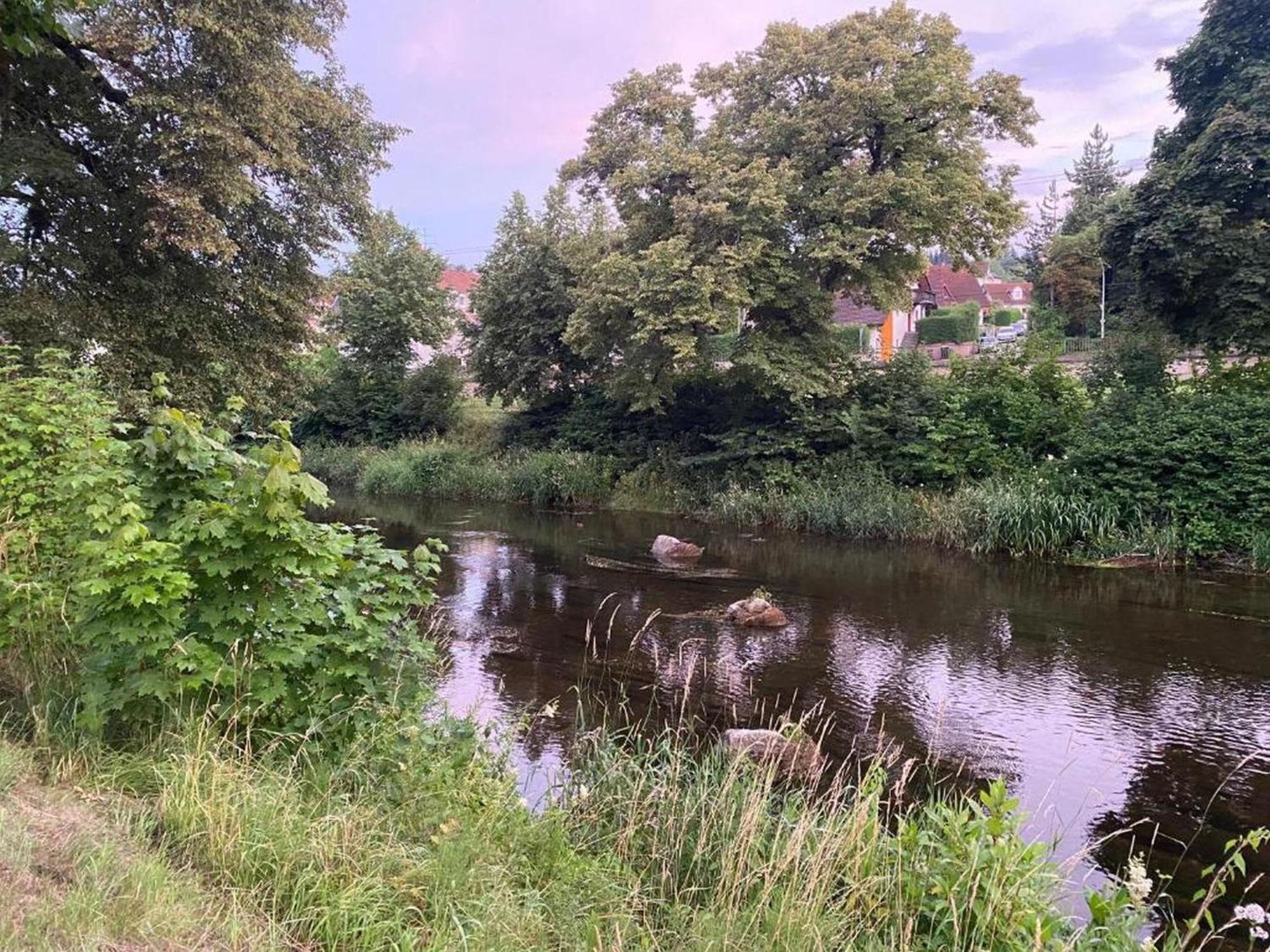 Apartment An Der Brigach *